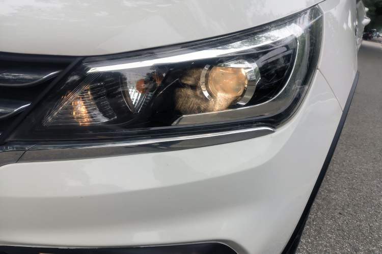 Used Baojun 310W 2017 1.5L Manual Comfort Version China VI Emission Standard Left Front Headlight