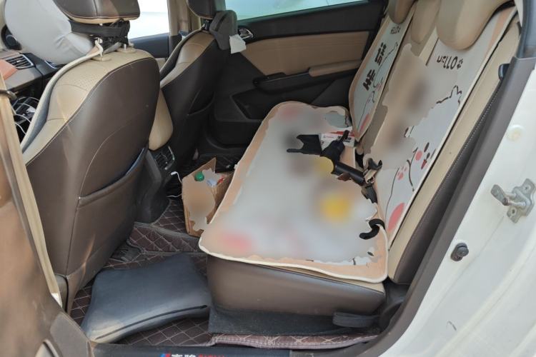 Used Baojun 310W 2017 1.5L Manual Comfort Version China V Left Rear Seat