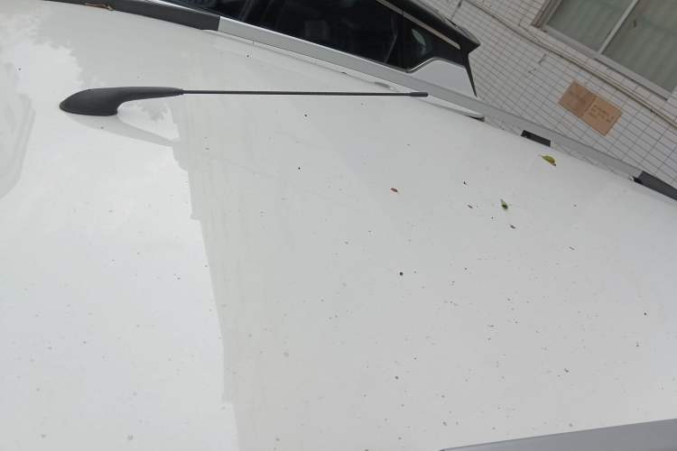 Used Baojun 310W 2018 1.5L Automatic Fashion Version China V Emission Standard Roof
