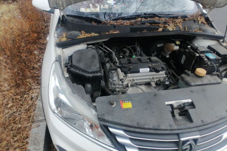 Used Baojun 310W 2020 1.5L Automatic Enjoyment Version China VI Emission Standard Engine Bay Right