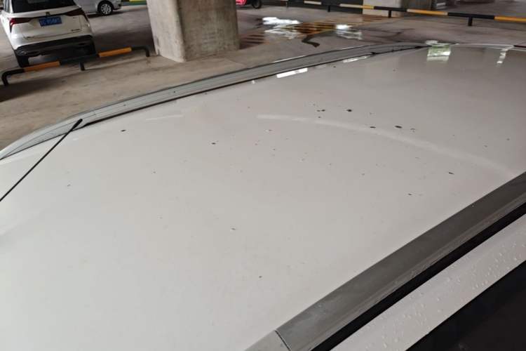Used Baojun 360 2019 1.5L Automatic Elite Version China VI Roof
