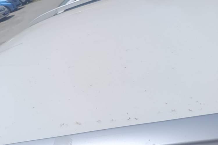 Used Baojun 360 2019 1.5L Manual Elite Version China VI Roof