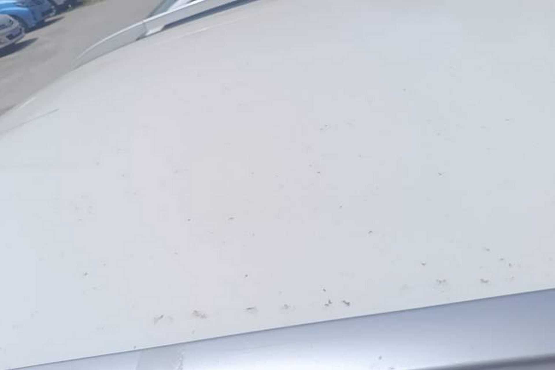 Used Baojun 360 2019 1.5L Manual Elite Version China VI Roof