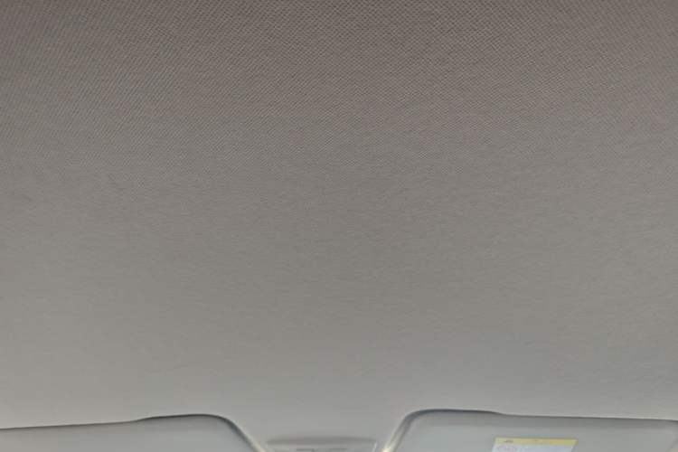 Used Baojun 360 2021 1.5L CVT Elite Version 77kW Headliner