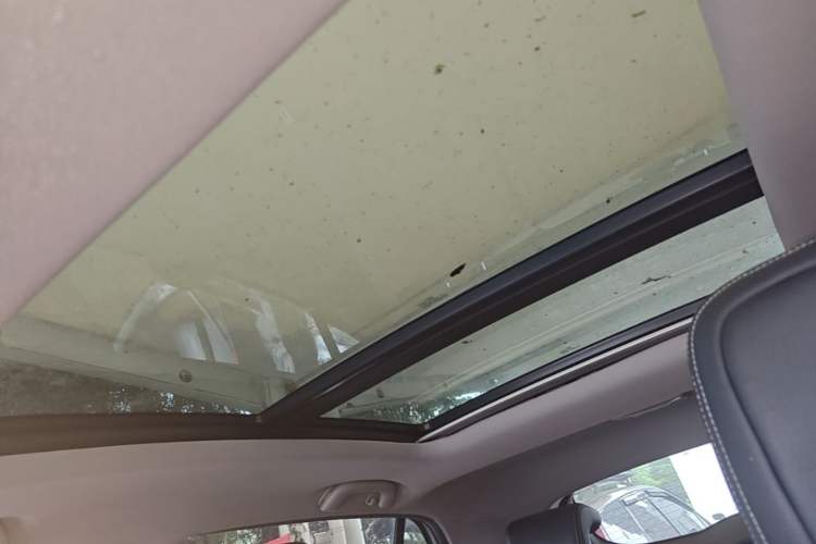 Used Baojun 510 2017 1.5L Automatic Luxury Model Headliner