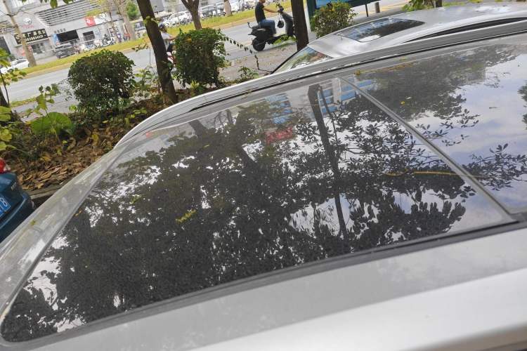 Used Baojun 510 2017 1.5L Automatic Luxury Model Roof