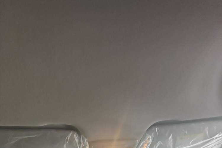 Used Baojun 510 2017 1.5L manual Comfort trim Headliner