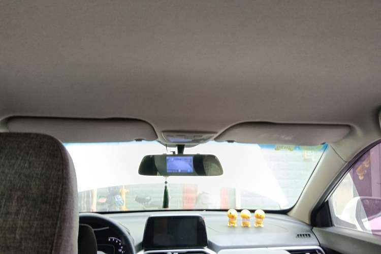 Used Baojun 510 2017 1.5L manual Comfort trim Headliner
