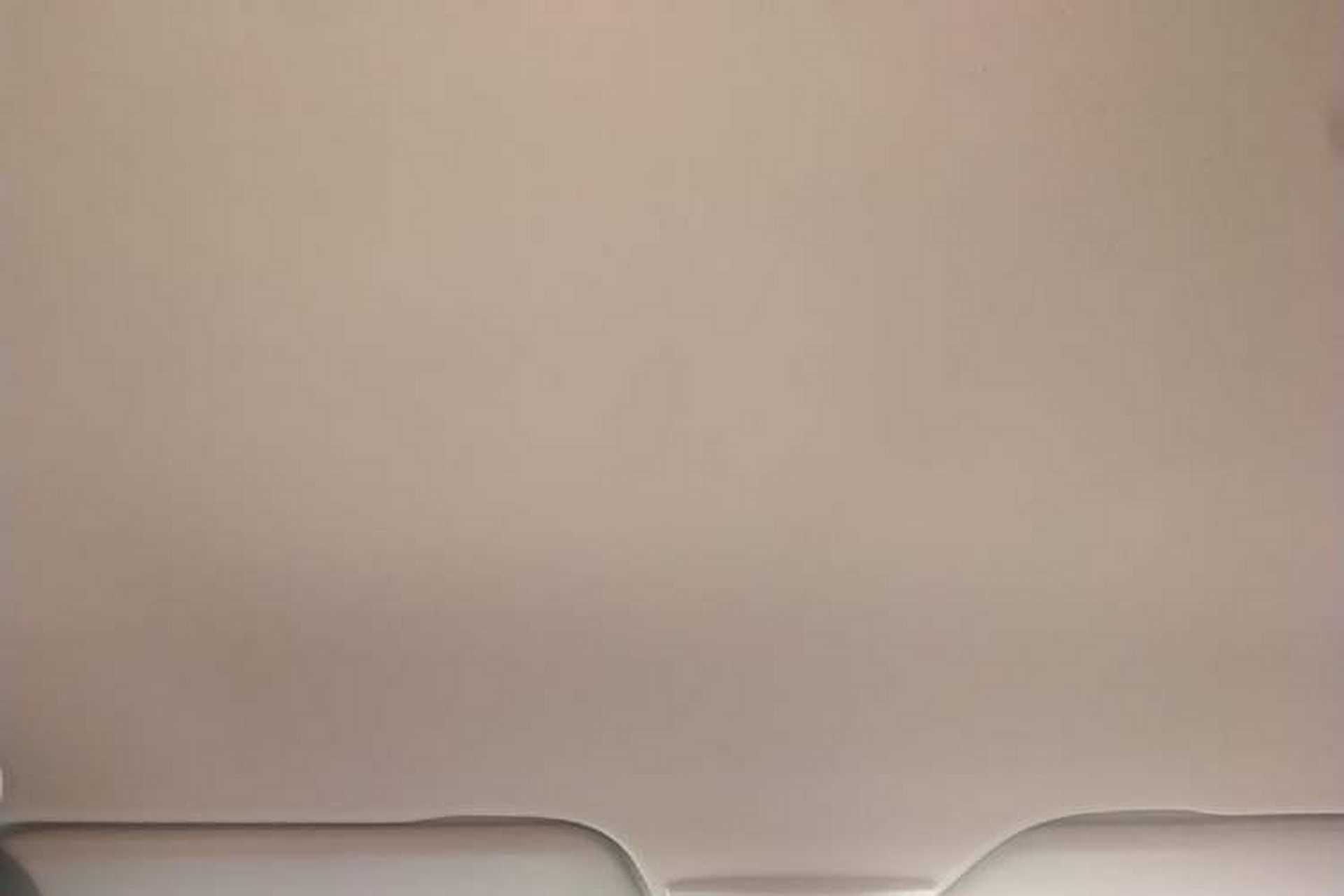 Used Baojun 510 2017 1.5L manual Comfort trim Headliner