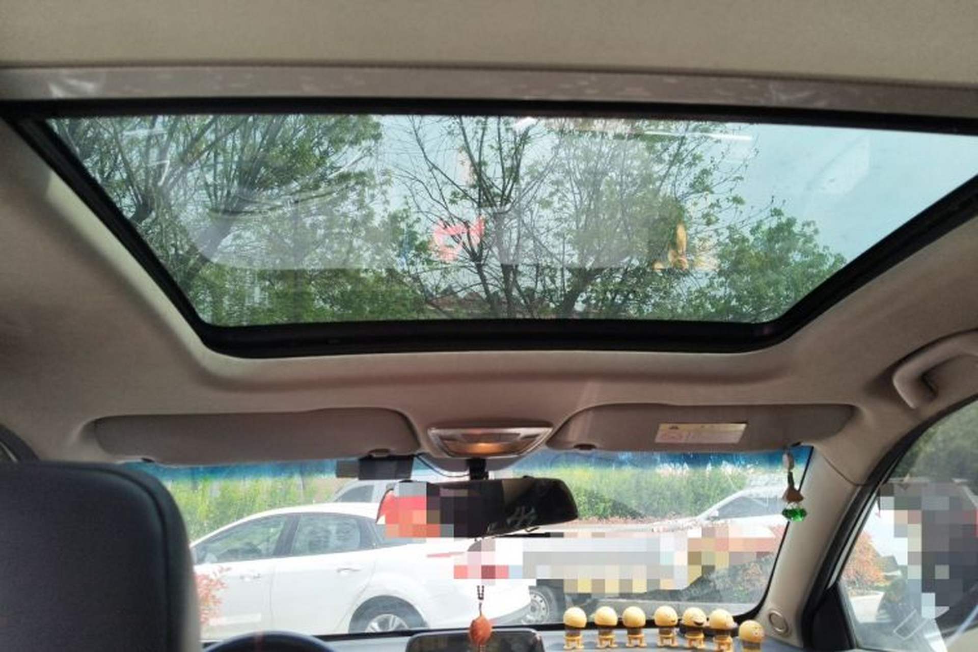 Used Baojun 510 2017 1.5L Manual Luxury Model Headliner