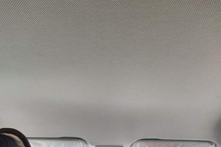 Used Baojun 510 2017 1.5L manual Comfort trim Headliner
