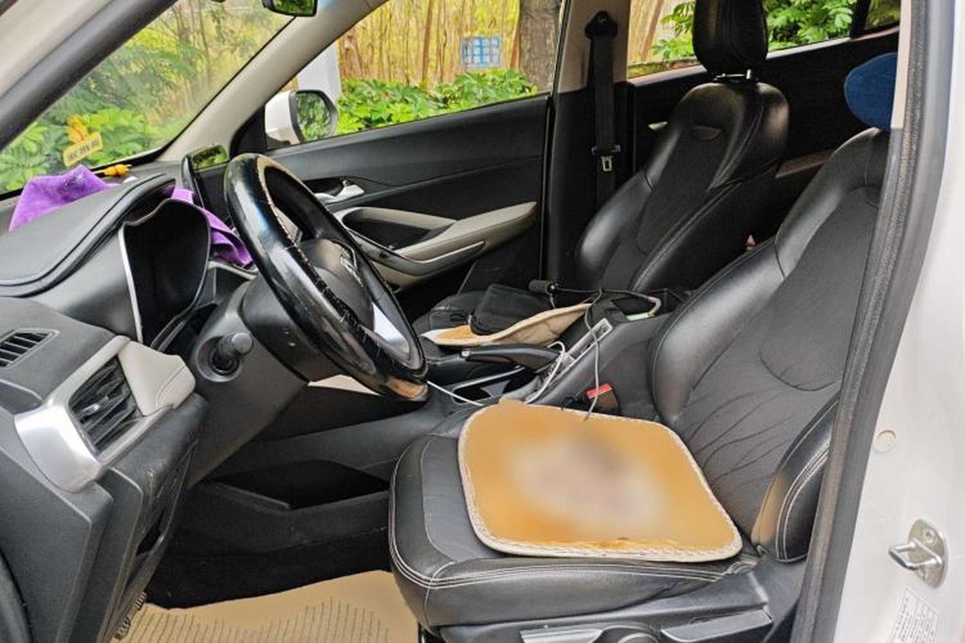 Used Baojun 510 2017 1.5L Manual Fashion Model Left Front Seat