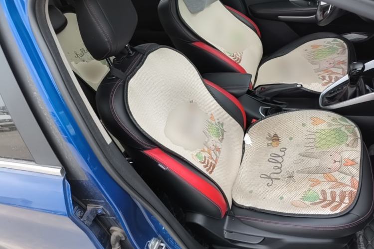 Used Baojun 510 2019 1.5L CVT Enjoyment Model China VI Emission Standard Right Front Seat