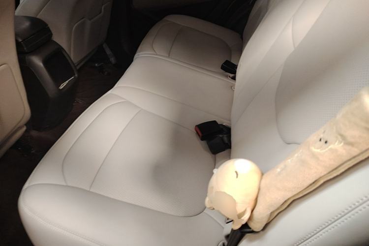 Used Baojun 510 2019 1.5L CVT Enjoyment Model China VI Emission Standard Left Rear Seat