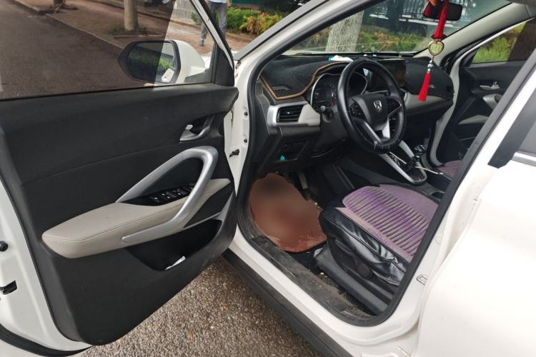 Used Baojun 510 2019 1.5L Manual Enjoyment Model 77kW China VI Emission Standard Driver Seat