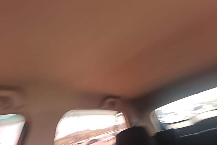 Used Baojun 510 2019 1.5L CVT Enjoyment Model China VI Emission Standard Headliner