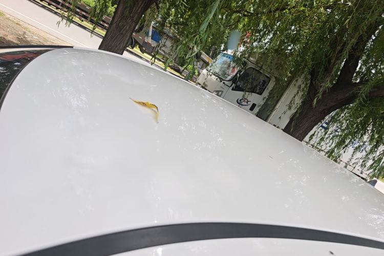 Used Baojun 510 2019 1.5L CVT Enjoyment Model China VI Emission Standard Roof