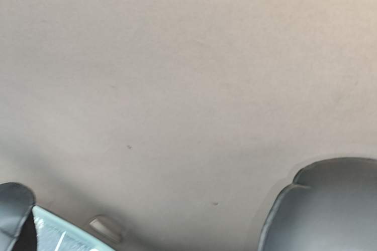 Used Baojun 510 2021 1.5L CVT Enjoy Edition Headliner