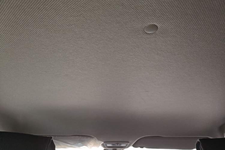 Used Baojun 510 2021 1.5L CVT Enjoy Edition Headliner