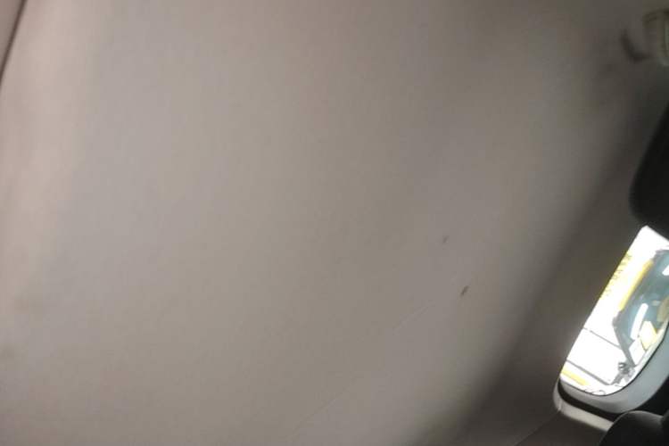 Used Baojun 510 2021 1.5L CVT Enjoy Edition Headliner