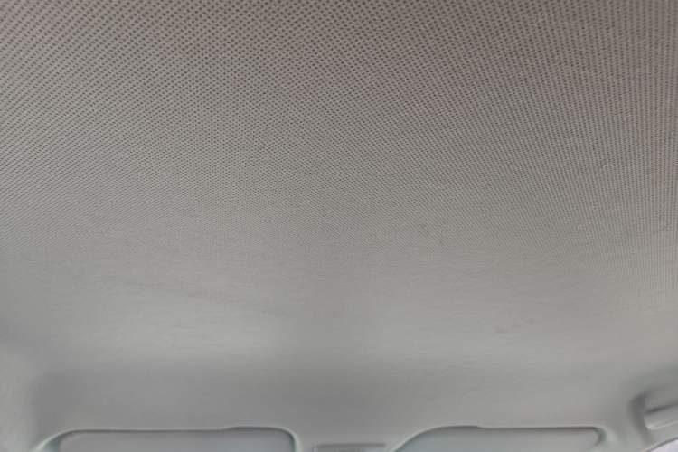 Used Baojun 510 2021 1.5L Manual Jingxiang Edition Headliner