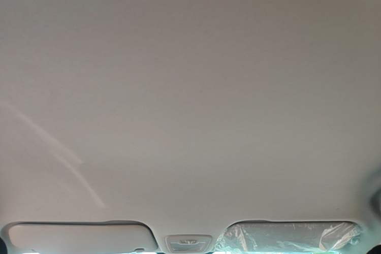 Used Baojun 510 2021 1.5L CVT Enjoy Edition Headliner
