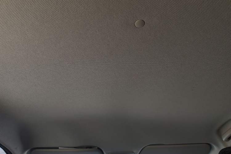 Used Baojun 510 2021 1.5L CVT Enjoy Edition Headliner