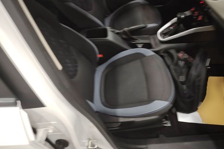 Used Baojun 510 2021 1.5L CVT Enjoy Edition Right Front Seat