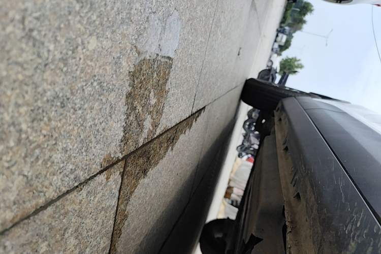 Used Baojun 510 2021 1.5L CVT Enjoy Edition Right Side Sill