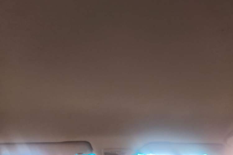 Used Baojun 530 2018 1.5T Manual Elite Version China V Headliner