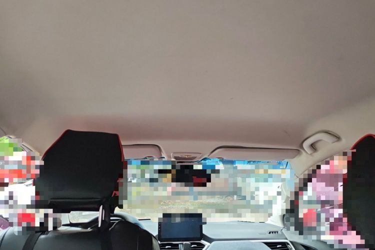 Used Baojun 530 2018 1.5T Manual Comfort Version China V Headliner