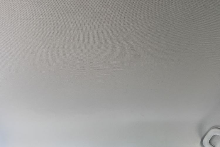 Used Baojun 530 2018 1.5T Manual Comfort Version China V Headliner