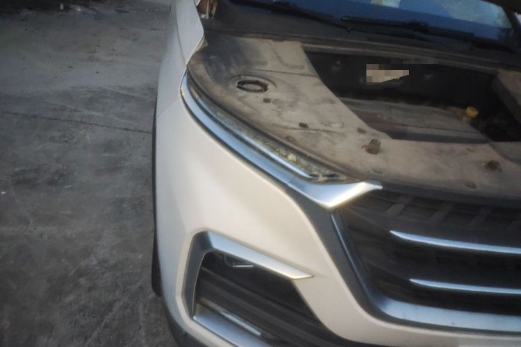 Used Baojun 530 2018 1.5T Manual Prestige Version China V Right Front Headlight