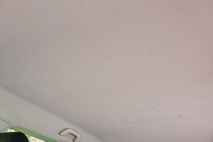 Used Baojun 530 2019 1.5T CVT Elite Version China V Headliner