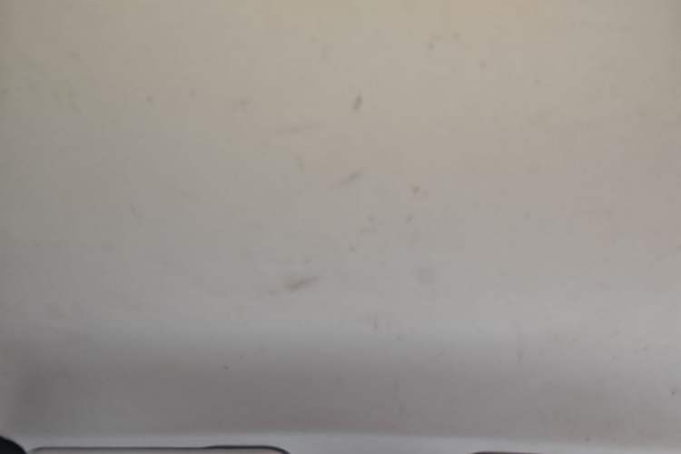 Used Baojun 530 2020 1.5T Manual Comfort Version 6 Seats Headliner