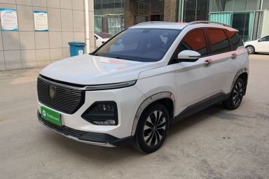 Used Baojun 530 2021 Global Car Anniversary Edition 1.5T CVT Luxury Model 7 Seats