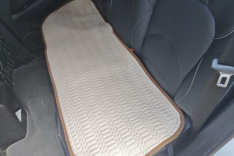 Used Baojun 530 2021 Global Car Anniversary Edition 1.5T Manual Luxury Model 7 Seats Left Rear Seat