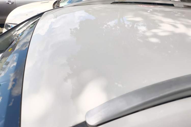 Used Baojun 530 2021 Global Car Anniversary Edition 1.5T CVT Luxury Model 7 Seats Roof