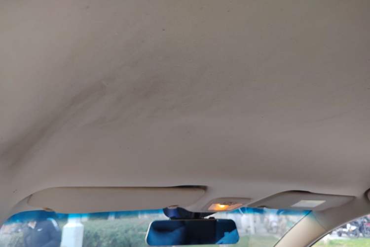 Used Baojun 560 2016 1.5T Manual Comfort Edition Headliner