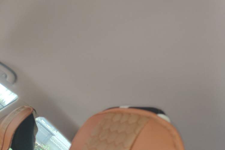 Used Baojun 560 2016 1.8L iAMT Elite Edition Headliner