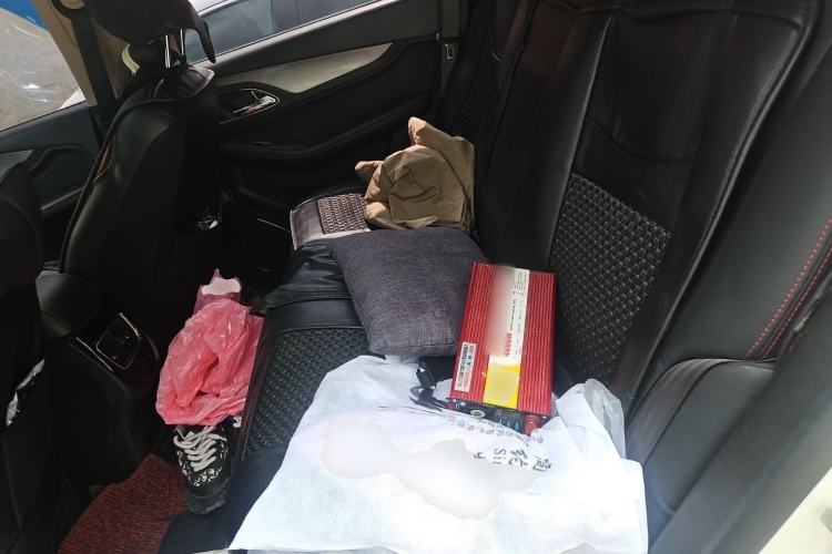 Used Baojun 560 2016 1.8L iAMT Luxury Model Left Rear Seat