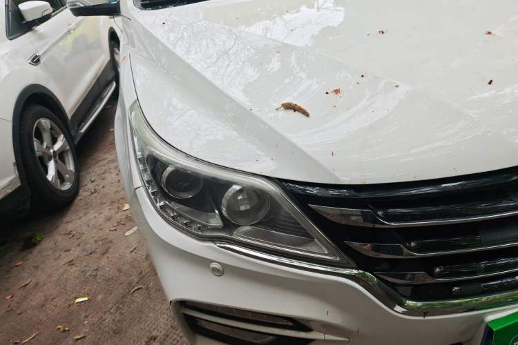 Used Baojun 560 2017 Rhythmic Edition 1.8L iAMT Prestige Model Right Front Headlight