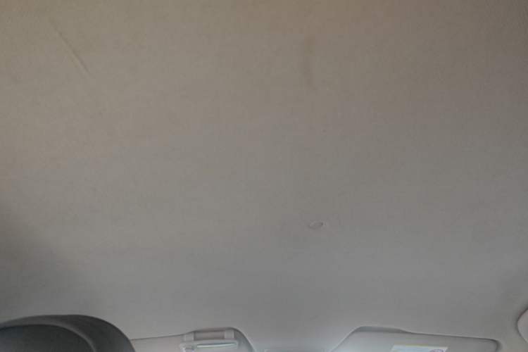 Used Baojun 610 2014 1.5L manual Comfort trim level Headliner