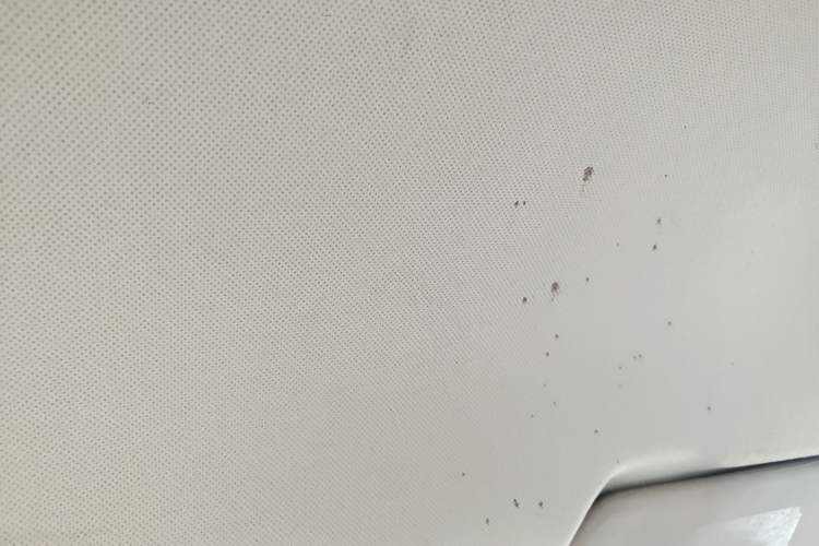 Used Baojun 630 2016 1.5L Manual Standard Edition Headliner