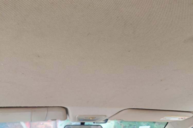 Used Baojun 730 2015 1.8L Manual Comfort ESP Version 7-seater Headliner