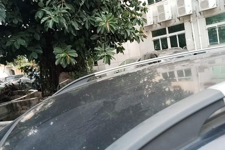 Used Baojun 730 2016 1.5T Manual Comfort Version 7 Seats Roof