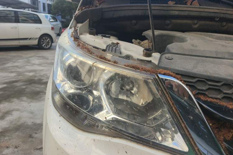 Used Baojun 730 2016 1.5L Manual Comfort Version 7 Seats China V Emission Standard Right Front Headlight