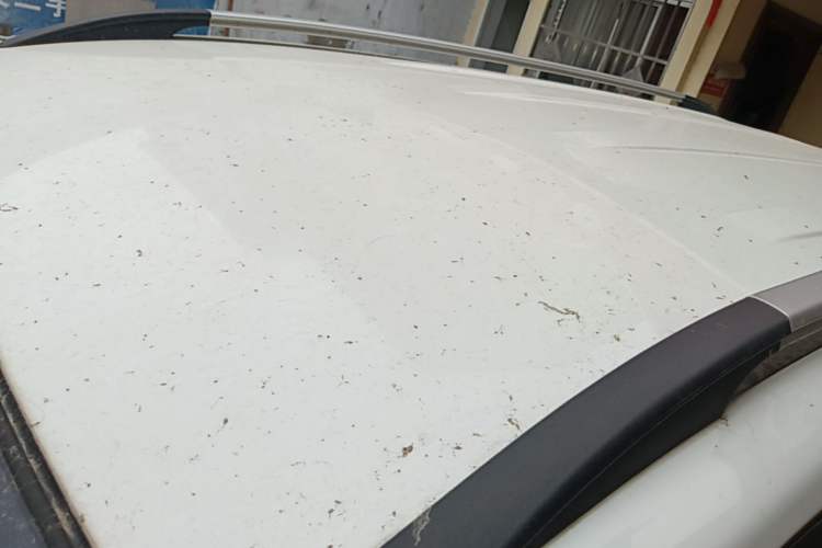 Used Baojun 730 2016 1.5L Manual Comfort Version 7 Seats China V Emission Standard Roof