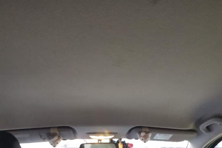 Used Baojun 730 2019 1.5L Manual Fashion Model 7-seater China VI Headliner