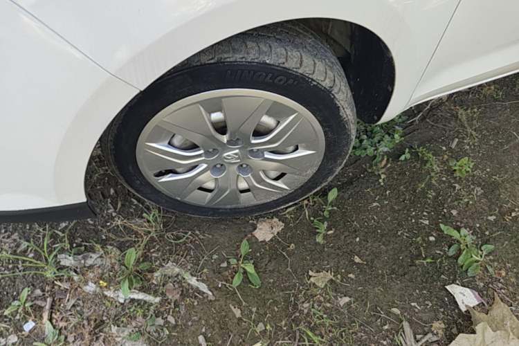 Used Baojun 730 2019 1.5L Manual Value Edition 7 Seats China VI Emission Standard Left Front Wheel Hub